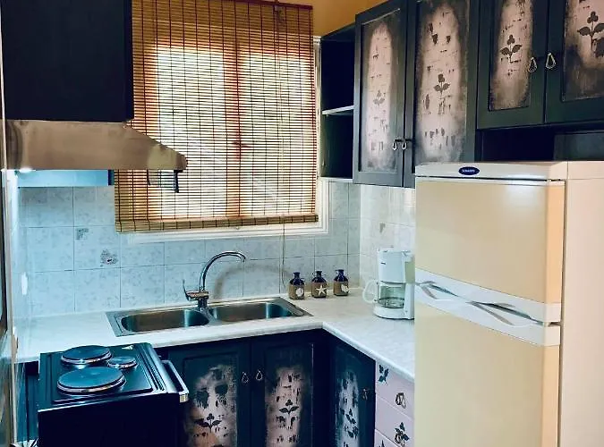 Sofia's House Сивота